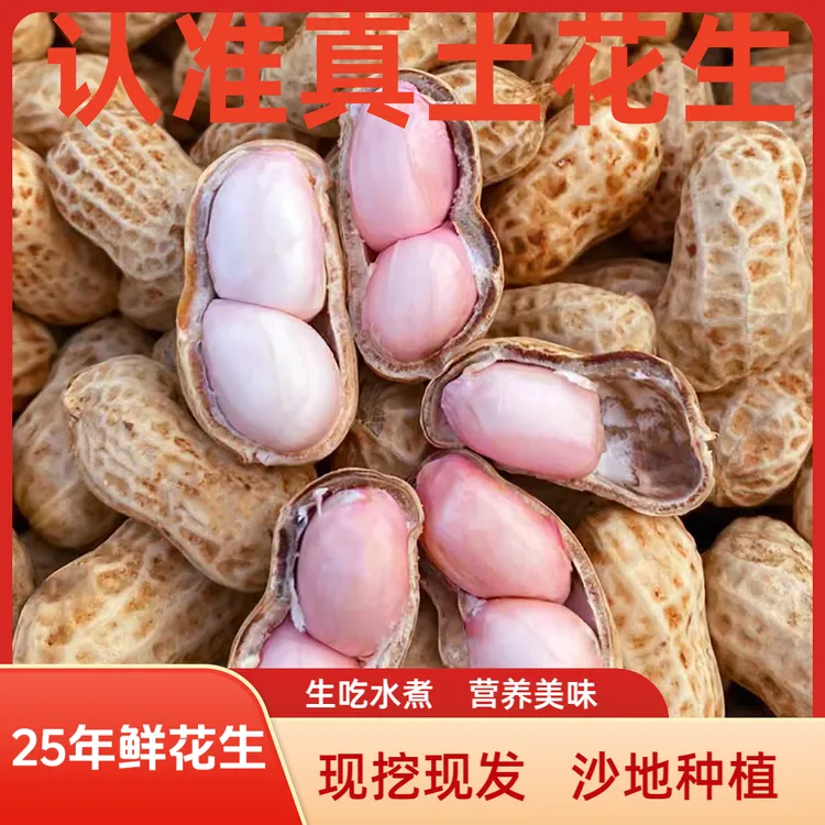 25年鲜花生现挖带壳新鲜粉皮花生可水煮生吃农家自种带泥鲜花生