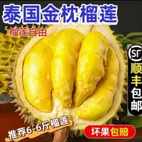 泰国金枕榴莲泰国新鲜榴莲金枕头榴莲现货