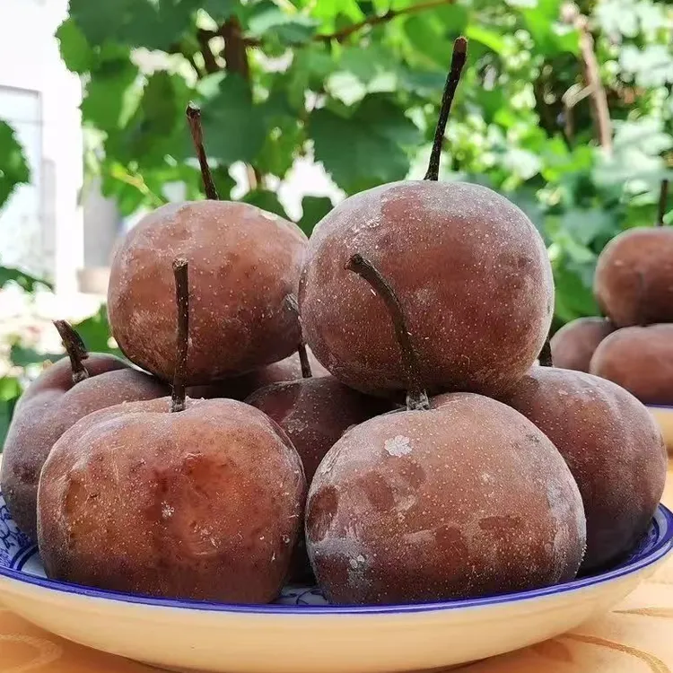 （兰州同城）什川特色软儿梨