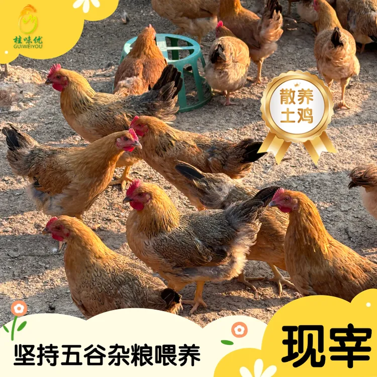 180天  散养土项鸡，顺丰冷链直送，品质保证，新鲜到家真空冷冻项鸡