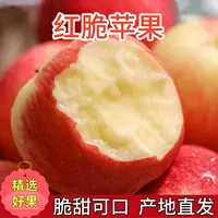 山东红脆苹果新鲜当季脆甜可口应季水果产地直发