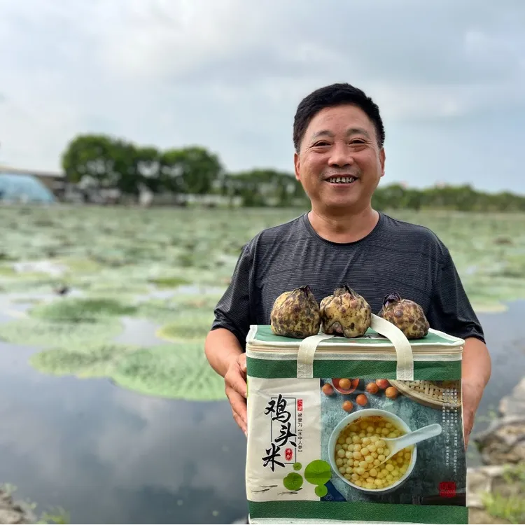 现货【大果】正宗苏州鸡头米2025水八仙软糯香甜鲜芡实2斤/3斤
