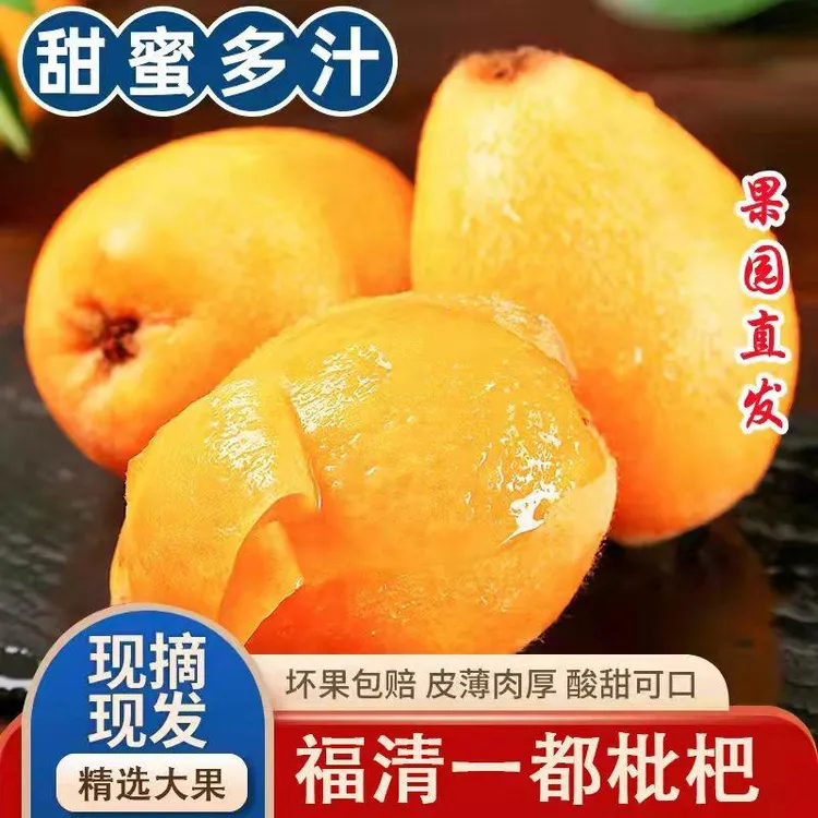 福清一都枇杷鲜果现摘好吃新鲜水果水果福建枇杷清甜枇杷