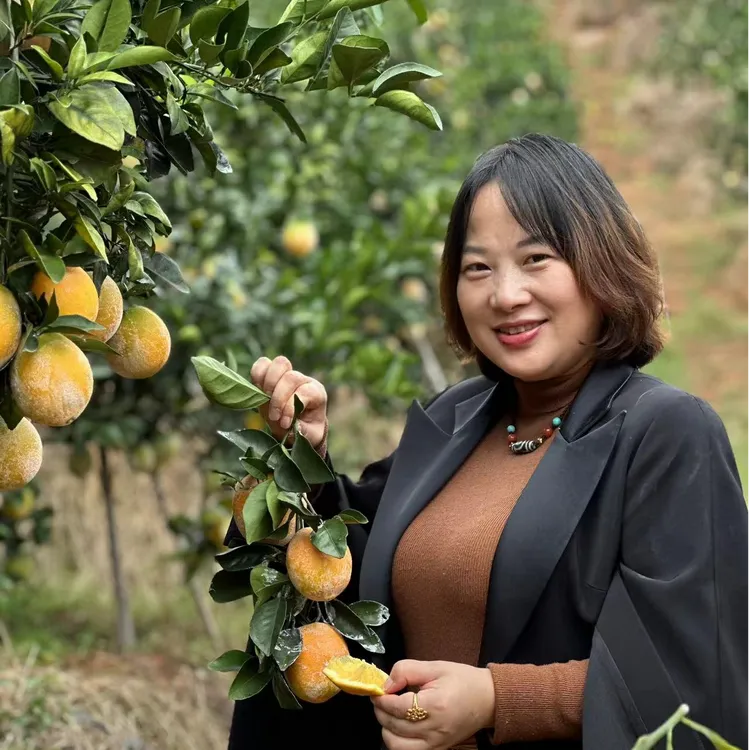 【模具大表姐专属】赣南脐橙新鲜水果包邮坏果包赔[正宗-原产地]