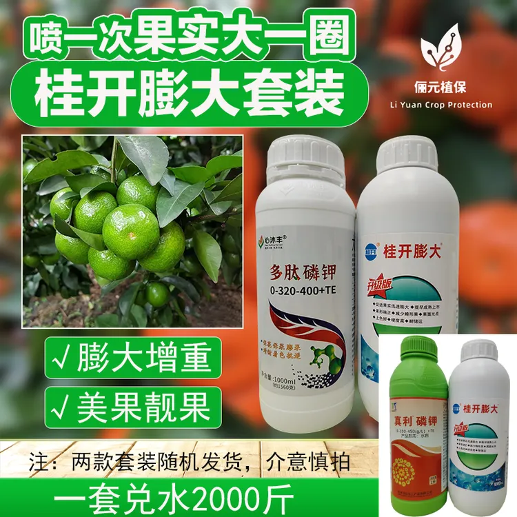 桂开柑橘膨大套装膨果增重美果靓果改善粗皮提高座果率