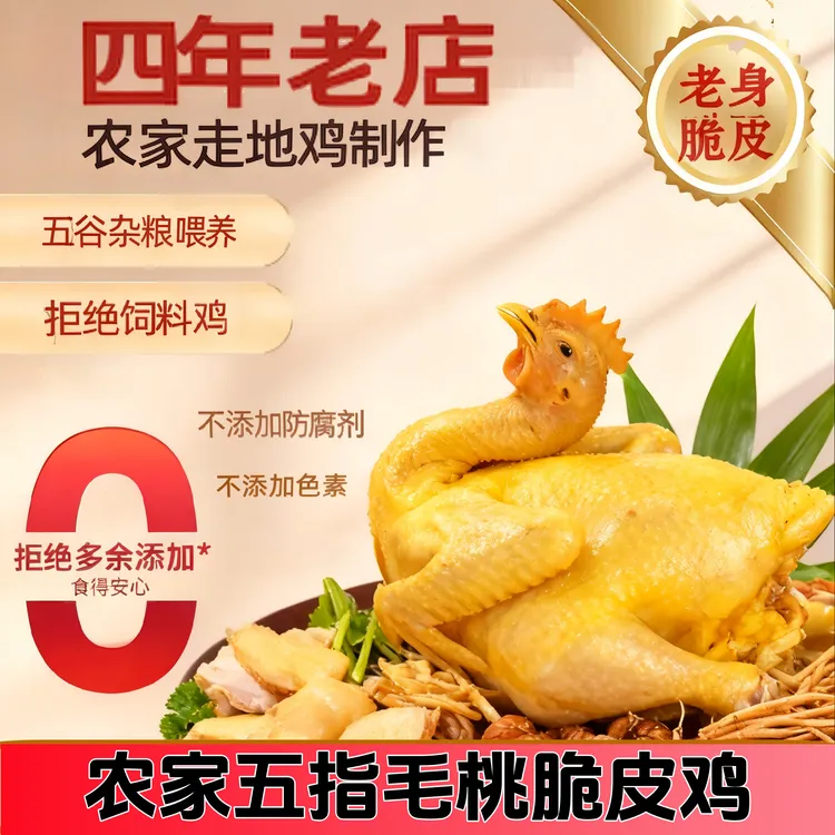 林间凤-250天脆皮版五指毛桃鸡【超高品质】皮脆肉实走地鸡制作
