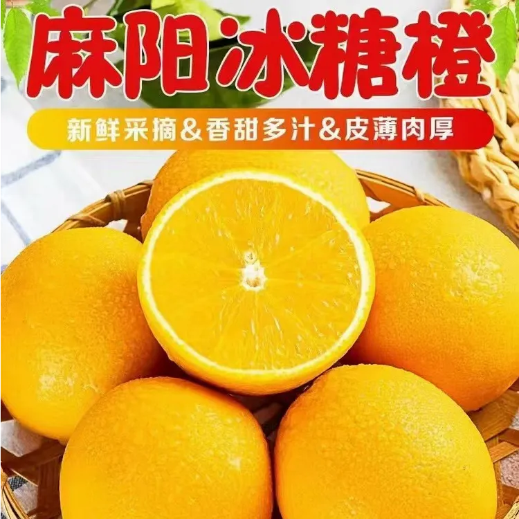 冰糖橙湖南麻阳正宗冰糖橙农家自产自销果园直发