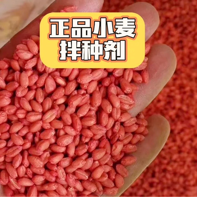 正品小麦拌种包衣大厂家叶面肥