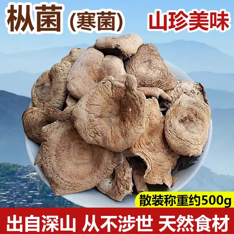 枞树菌松树菌干货
