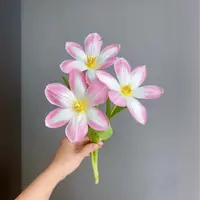 【云舍花卉】郁金香【王朝】任意2单或以上包邮发货