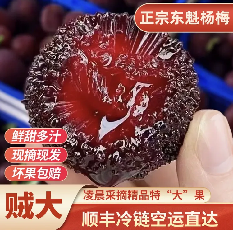 【杨梅没有咯，预告宁波奉化桃子上市】东魁杨梅现摘现发破损包赔
