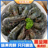 【老纪专享】黑金刚黑虎虾3040新鲜大虾海虾老虎虾0冰衣净重1500g