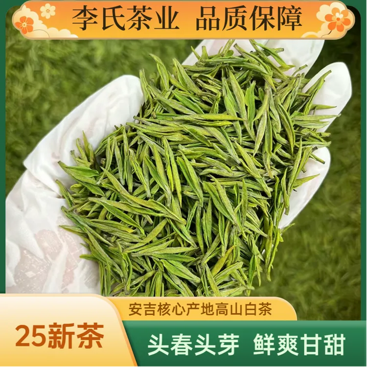 【2025新茶】2025小芽头头春头茶安吉核心产区  高山小芽精品白茶