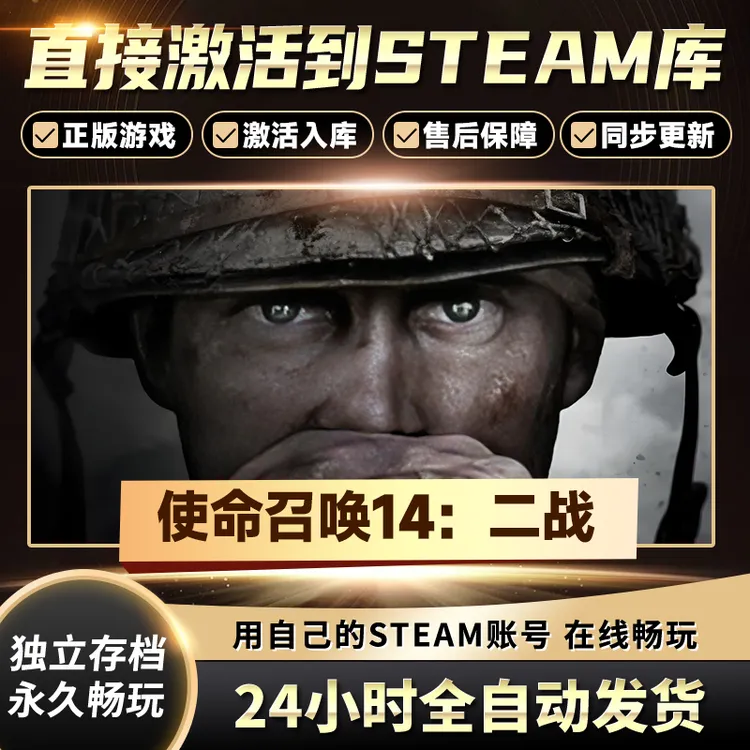 【STEAM游戏】使命召唤14：二战CDKey在线电脑游戏全dlc全区入库