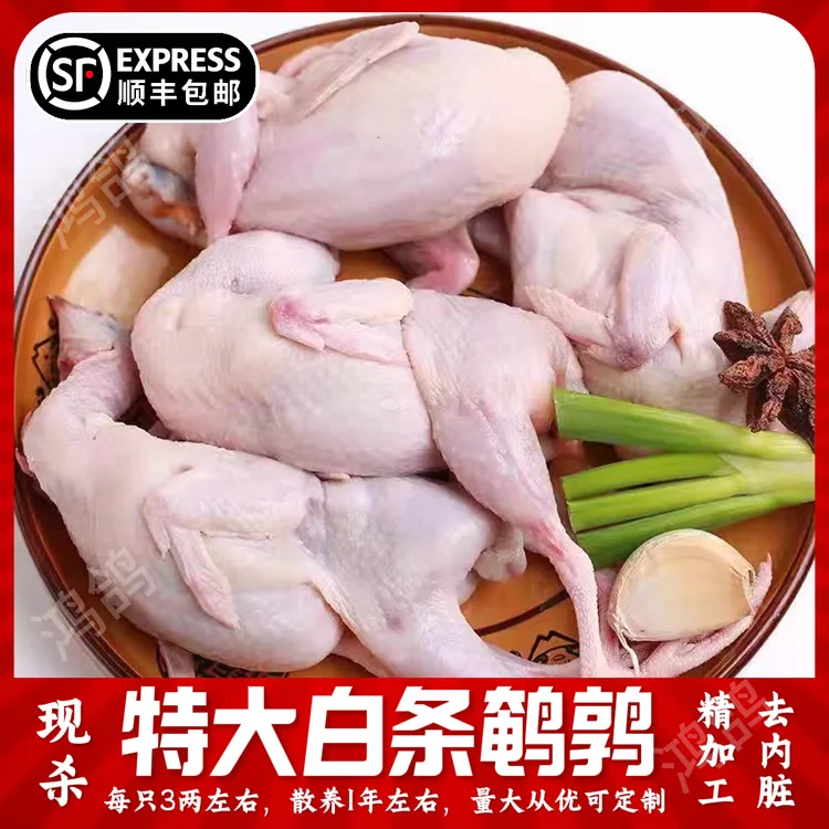 【顺丰包邮】大号新鲜现杀冰鲜母鹌鹑肉放血白条适合油炸烧烤