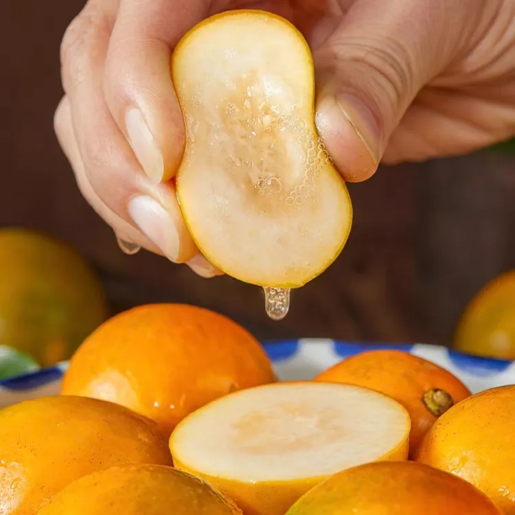 【顺丰包邮】广西融安三代脆蜜金柑新鲜现摘 当季纯甜鲜果 （彩箱装）