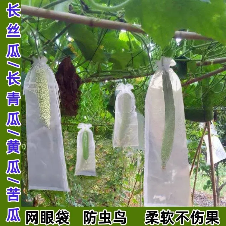 【水果蔬菜专用】丝瓜网套袋青瓜苦瓜套袋专用袋防虫袋瓜果专用保护