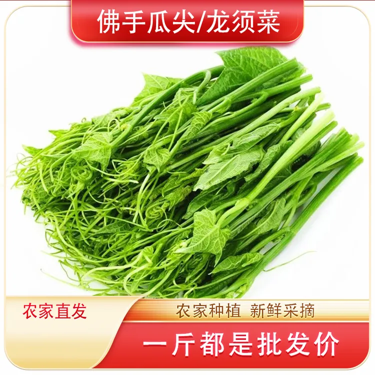 生鲜专线送货上门佛手瓜尖新鲜龙须菜产地直发农家自种