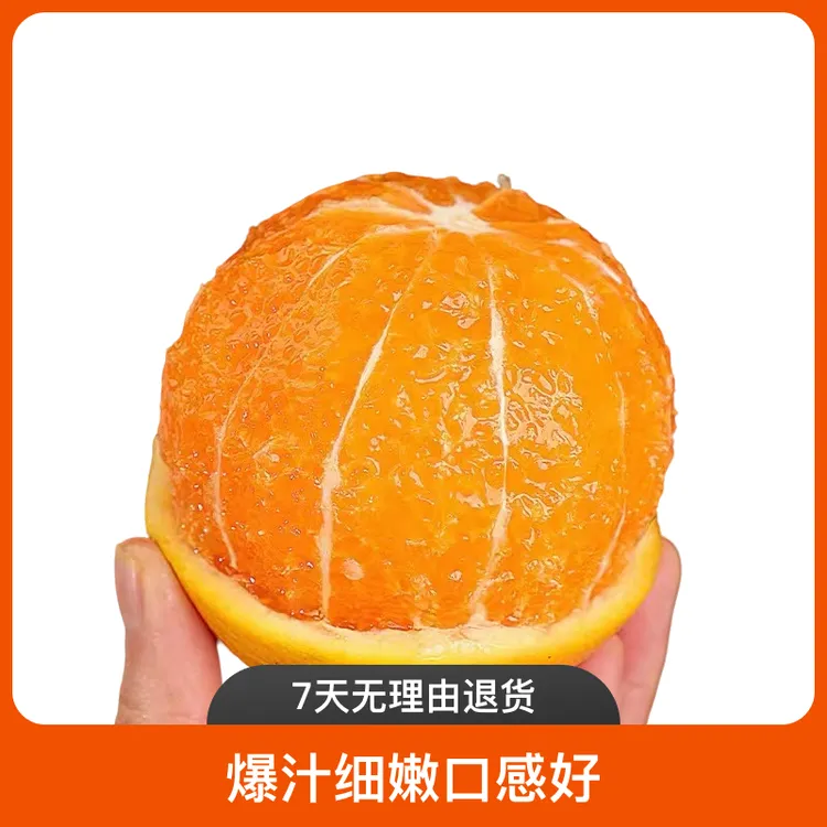 湖北秭归脐橙橙子九月红果冻橙新鲜采摘产地直发全网爆款