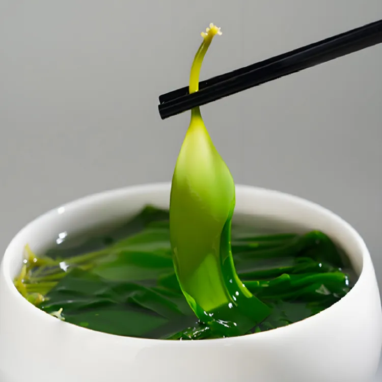 【头水海带苗】霞浦盐渍海带苗脆嫩爽滑可凉拌煲汤火锅食材