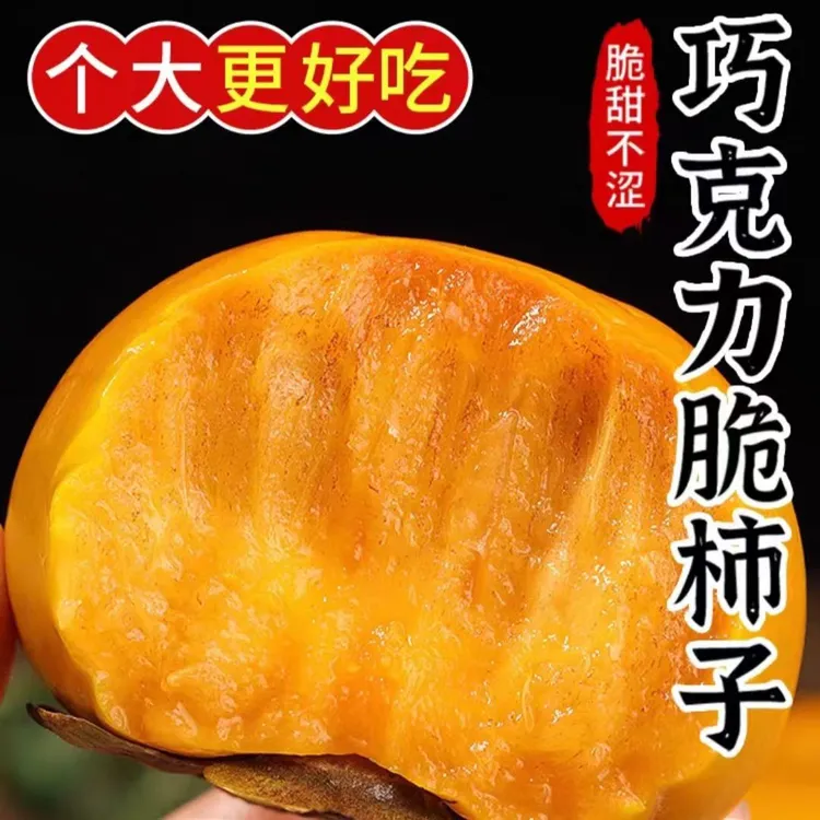 阳丰巧克力甜脆柿子脆柿子脆甜新鲜孕妇水果包邮批发不涩无籽柿子