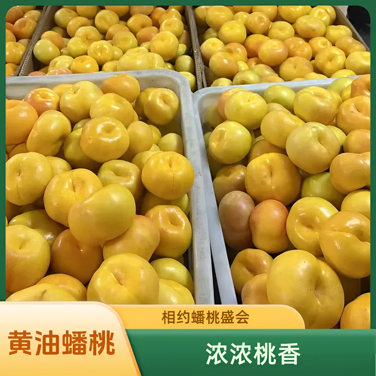黄油蟠桃新鲜水果桃子脆桃甜黄桃彩虹桃水果产地直发当季新鲜水果