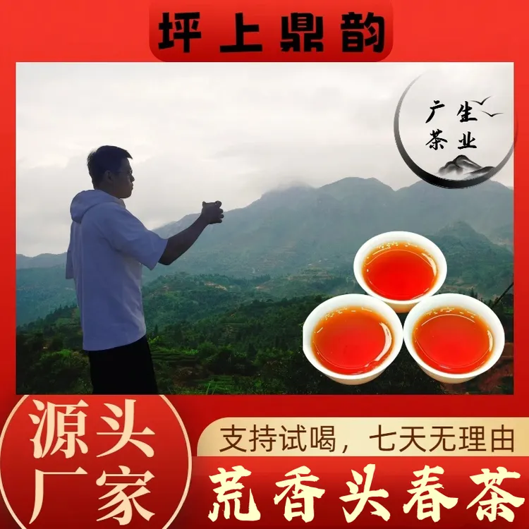 坪上炒茶 {荒香头春茶} 2025年明前采摘 花蜜香荒野韵 