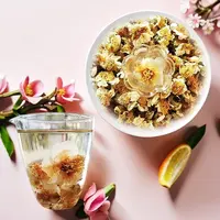 冰岛古树茶花。   