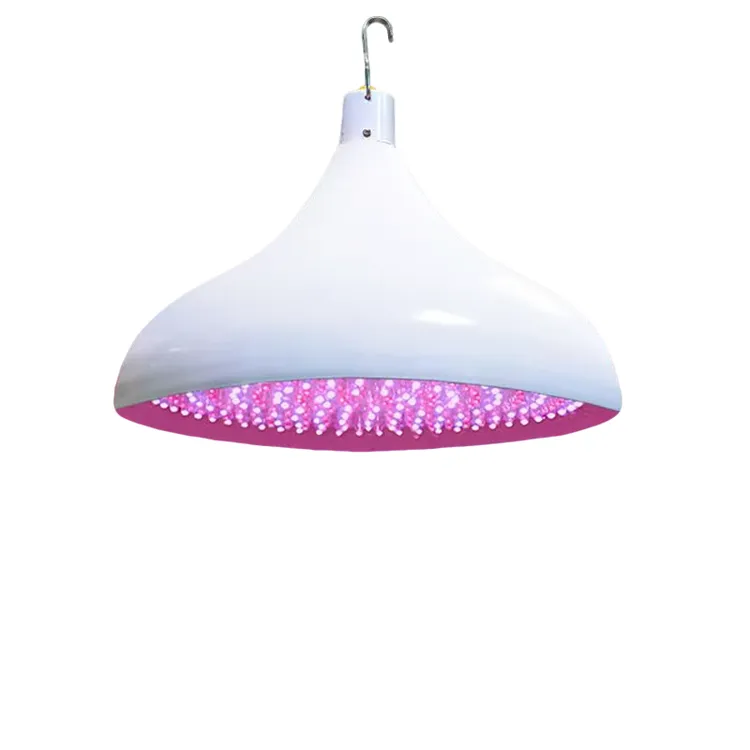 新款充电鲜肉灯夜市摆摊led