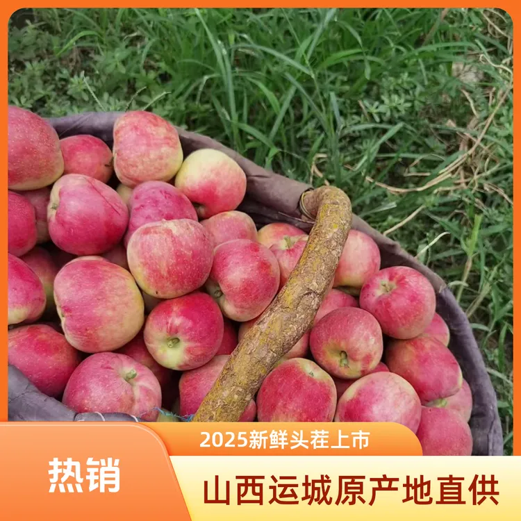 2025新鲜头茬山西黄金嘎啦苹果