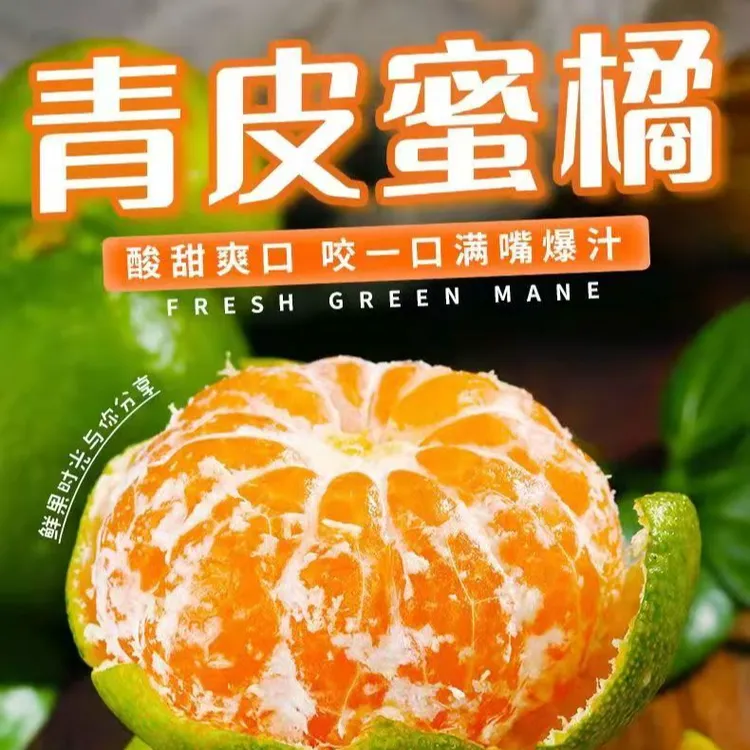 正宗新鲜青皮蜜桔酸甜爽口应季水果现摘无籽X
