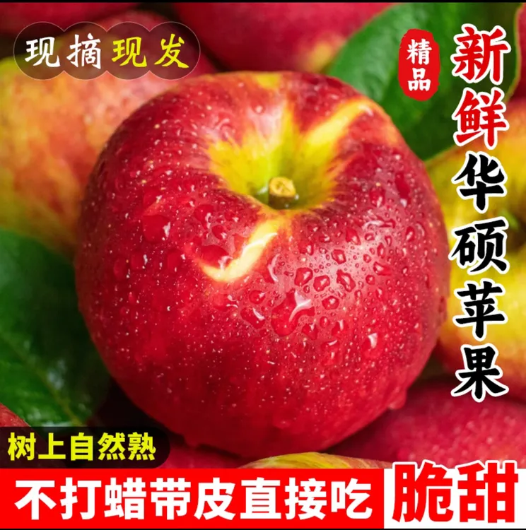 云南昭通华硕苹果新鲜应季脆甜多汁自然现摘水果产地直发