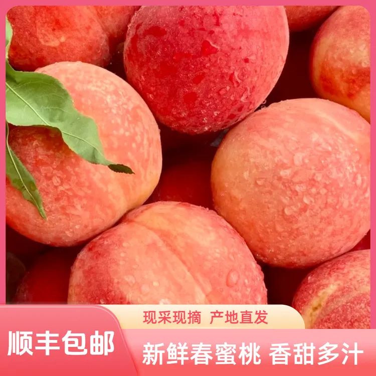 【顺丰包邮】春蜜桃香甜多汁毛桃新鲜采摘应季水果产地直发