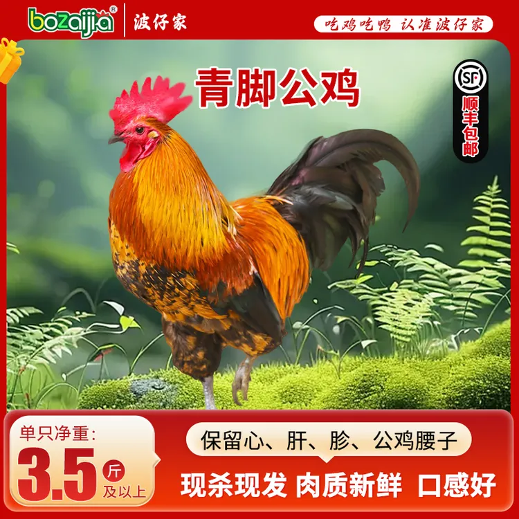 【bozaijia】波仔家青脚公鸡单只净重1.75kg*（2只）