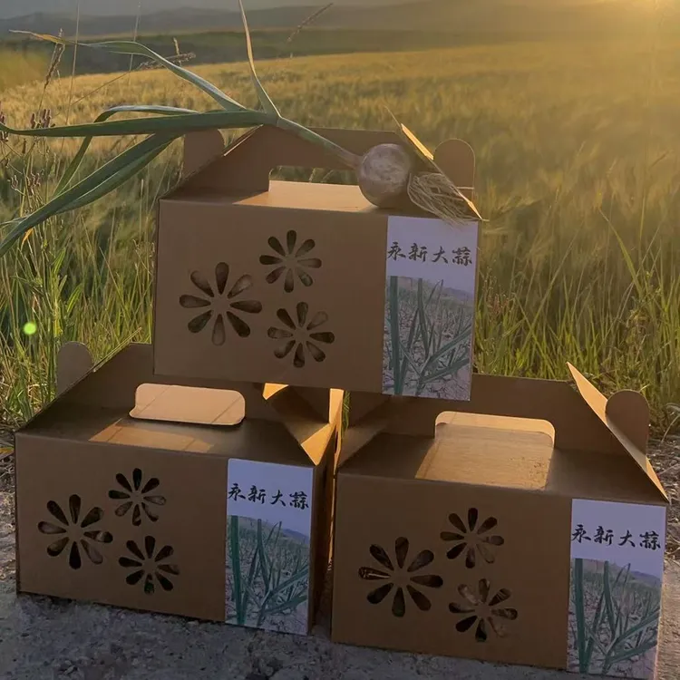 永新独头紫皮大蒜礼盒装产地直发，油气大，蒜味辣。40头独头大蒜