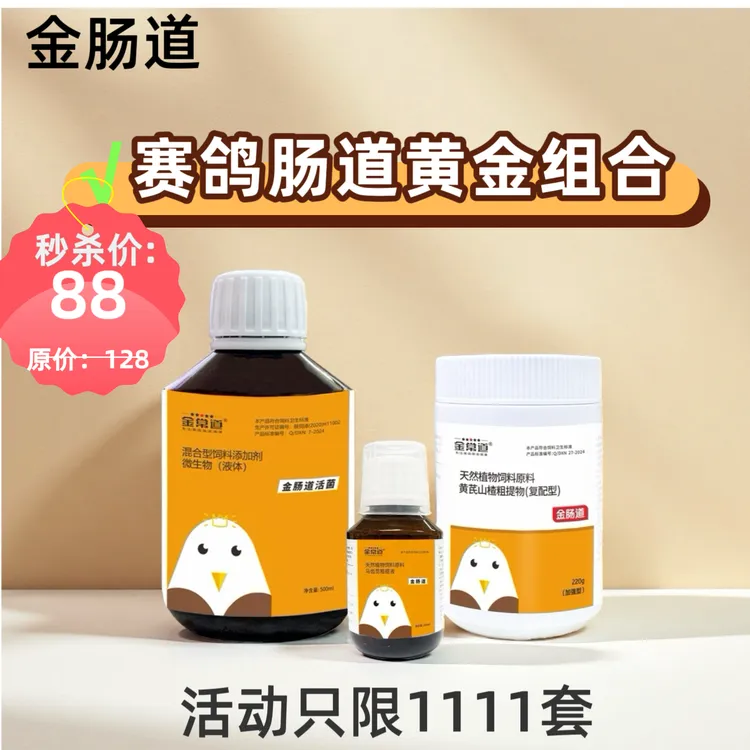 金常道赛鸽肠道黄金组合