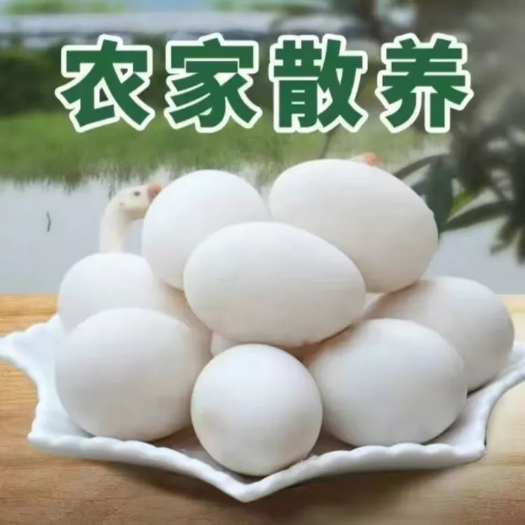 农家散养土鹅蛋 现捡现发12枚 80-100克