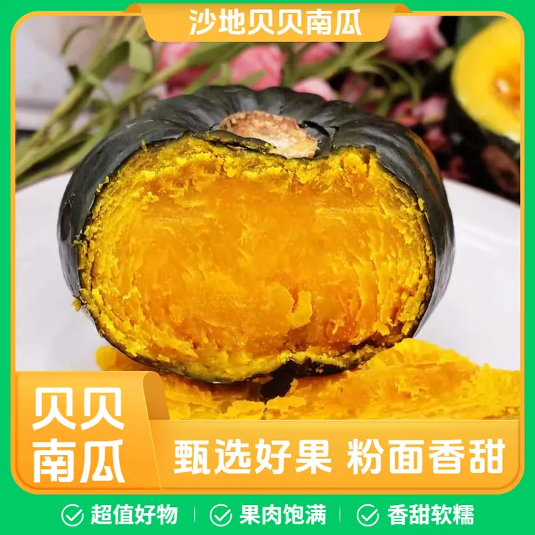 正宗沙地贝贝南瓜2025新鲜采摘粉糯香甜板栗味适合宝宝辅食