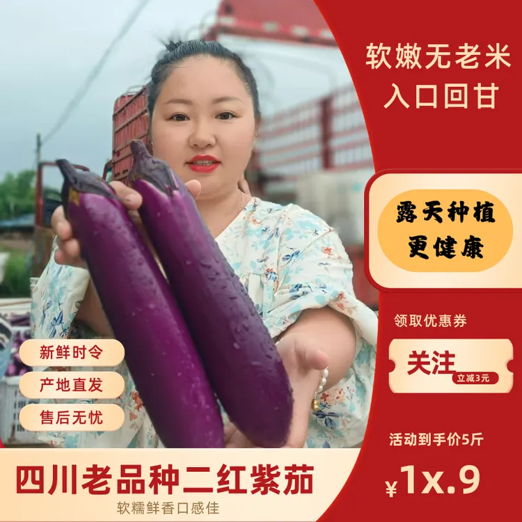  四川威远老品种紫皮茄子露天种植当季时令蔬菜现摘现发