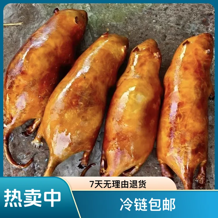 精品稻香竹子鼠人工养殖冷链包邮