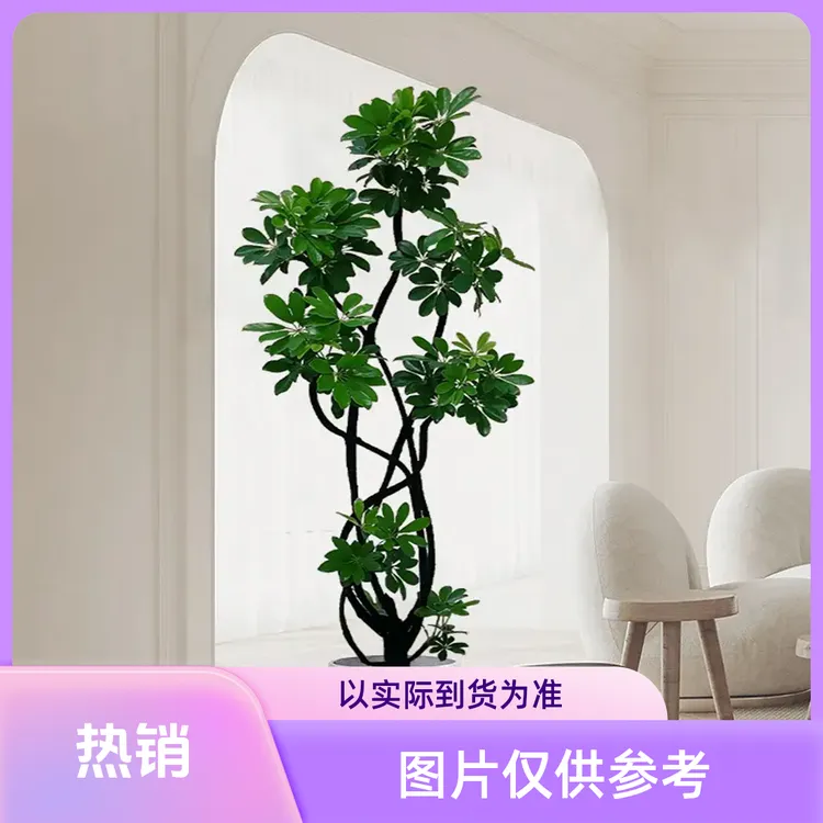 【鸭脚木自拍链接】需按照自己对应高度对应朵头下单到货以实物为准