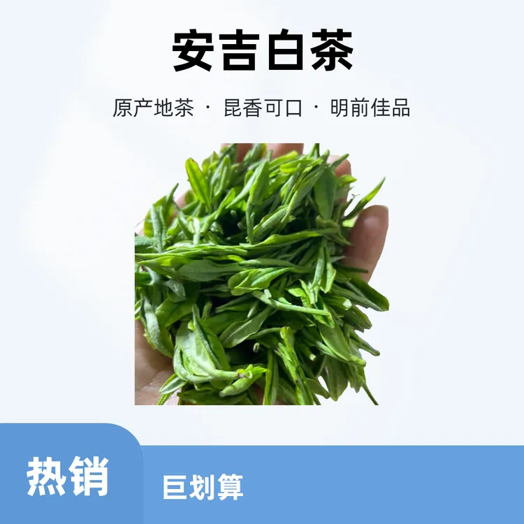 六姐家的茶【昆香】25年安吉昆铜产区兰香明前鲜甜肥芽白茶安吉