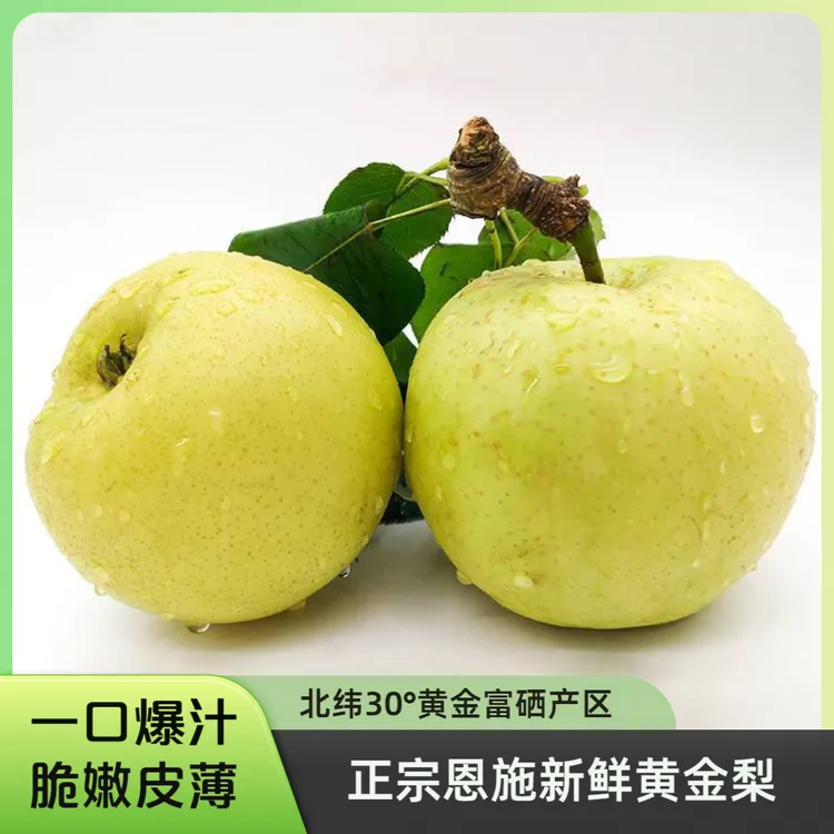 【精品大果】恩施宣恩黄金梨皮薄无渣核小脆嫩多汁现摘现发