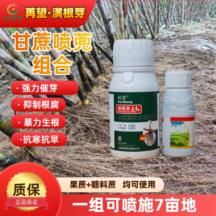 【满根芽】甘蔗喷蔸组合抑制根腐促根催芽爆芽爆根方案含氨基酸
