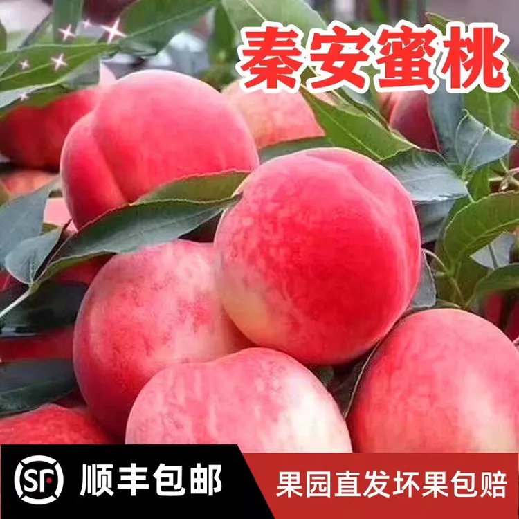 正宗天水秦安北京七号水蜜桃新鲜水果直播顺丰包邮离核脆软两吃甜