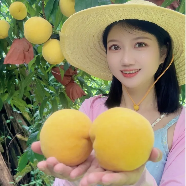 高山黄桃 湖南江华大瑶山现摘锦绣黄桃香甜多汁【顺丰快递】