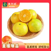 红美人果冻橙-1斤(约500g)