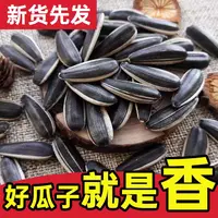 原味生葵花子5斤2斤 品质保证【新疆直发】