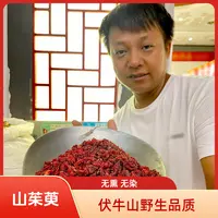 正宗野山茱萸 无熏无硫 道地产区河南伏牛山 可搭配枸杞