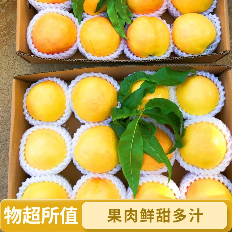 北京平谷黄油桃现摘当季新鲜水果时令水果脆甜大果